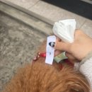 한결같은 동물병원 | 광주 북구 오치동 동행동물병원 내돈내산 솔직후기