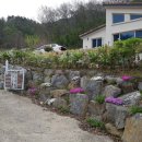 K.H.행정사사무소 이미지