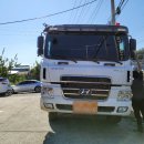 사각지카 이미지