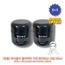 와이즐리