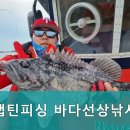 캡틴피싱 네이버블로그