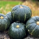 현선농장 이미지