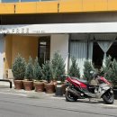 디카프리 완산 이미지