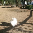 어우름펜션 이미지