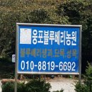 김신중농장 이미지