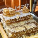 도토리(dotori) 이미지