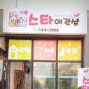 스타애견샵 이미지