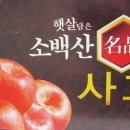 소백지하수