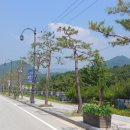 구제공주 이미지