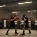 케나인코리아 | [복싱1년차] 복싱 입문자를 위한 가성비 복싱 장비 추천 가이드