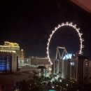 별밤 무인호텔 | [미국 서부] 14박 15일 여자 혼자 뚜벅이 미국 서부 여행기 (1)