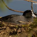광양칠성노인요양원 이미지