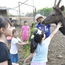 추억농장 이미지