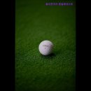 원일베네스트 | [수원 스크린골프] 골프존파크 원일베네스트 수원 스크린골프의 새로운 명소