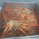 오이소홍게무한리필 이미지