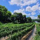 늘푸르름농장 이미지