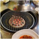 정선바로서비스 이미지