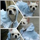 신유약국 이미지