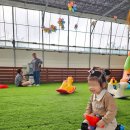 남촌동입구 | 고구마농장체험 인천 남촌동 딸기의 하루 내돈내산 (두돌아기와)