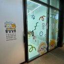무지개 | 애견이 스트레스받지 않게 편안하게 진주 애견미용 잘하는 곳 몽실살롱