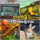 전주 햄스터 | 전주 아이랑 가볼만한곳 꼬마정글 파충류 소동물 체험 실내 이색카페