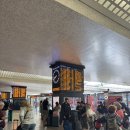 D00010 | [이탈리아 5일차]로마 근교여행 Tivoli 티볼리_빌라 그레고리아나, 빌라 데스테, 빌라 아드리아나...