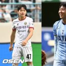 &#39;토트넘 양민혁&#39; 1군 계약... &#39;캡틴 손흥민&#39;과 2025년 동반 활약 가능성 [단독] 이미지