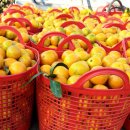 준이네농장 이미지