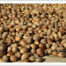 산일민박 이미지