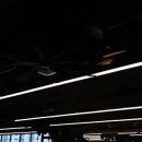 와일드 짐 이미지