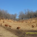 명성농장 이미지