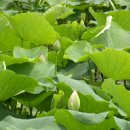 합천군산림조합 이미지