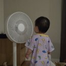 제주소나이쇠소깍점 | 제주도 두 번째 이야기, 드디어 바다를 보았다.