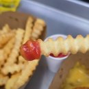 베이컨 주식회사 | 성신여대 수제버거 주식회사 버거파크 맛있고 건강한 스타일의 미국식 수제버거 추천