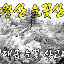 발왕산 눈꽃역대급 설경 유튜브 영상 이미지