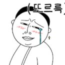 에스에스스포츠