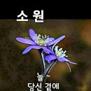 대성산업중기 이미지