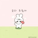 금강창호