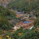 광치자연휴양림 이미지