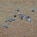 갈매천공원 이미지