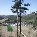 황곡경로당 Daum카페