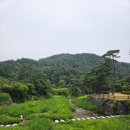 자미가식당 이미지