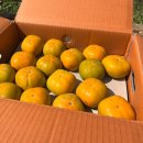 단감상회 이미지