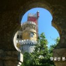 제1525 이미지