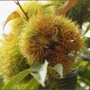 산현초등학교 이미지