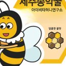 허니랑꿀벌연구소
