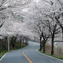 군도14호선 이미지