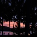 김빈「달팽이」 | 나트랑 행복의 순간들