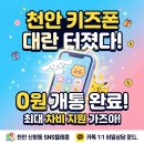 버디텔레콤 이미지