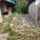 일등농약종묘도매상사 이미지